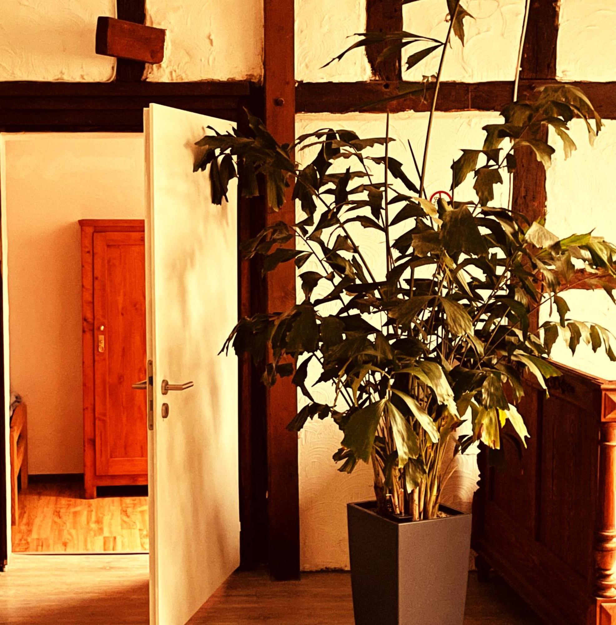 Cottage Huehnerstall Zulpich Extérieur photo